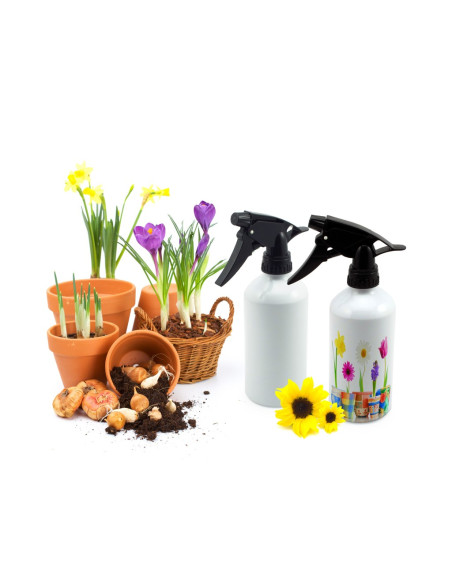 Pritsipudel - kingitus lillesõbrale