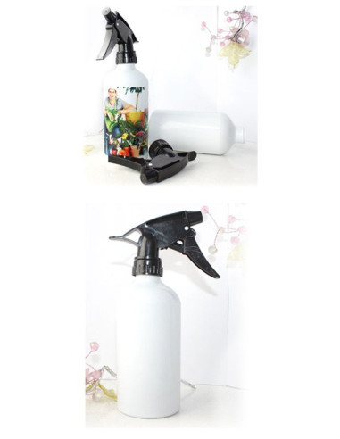 Pritsipudel - kingitus lillesõbrale