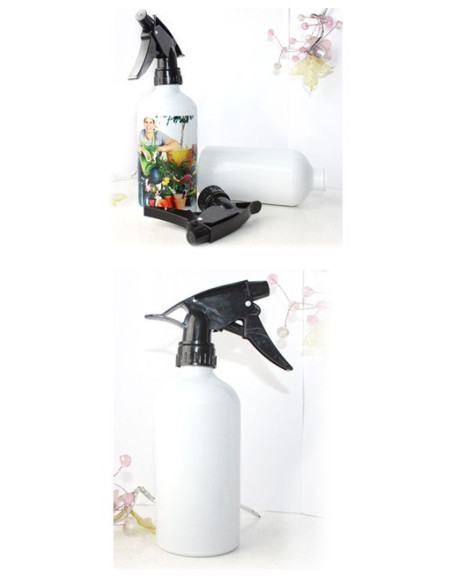 Pritsipudel - kingitus lillesõbrale