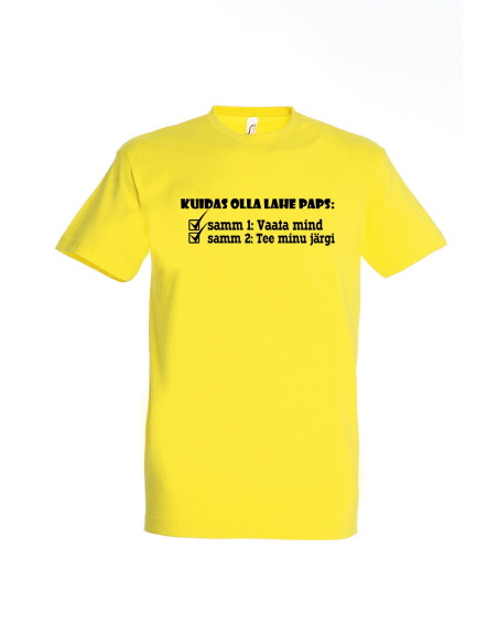 Meeste t-särk KUIDAS OLLA LAHE PAPS