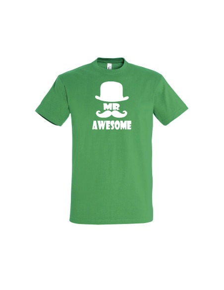 Meeste t-särk Mr.Awesome