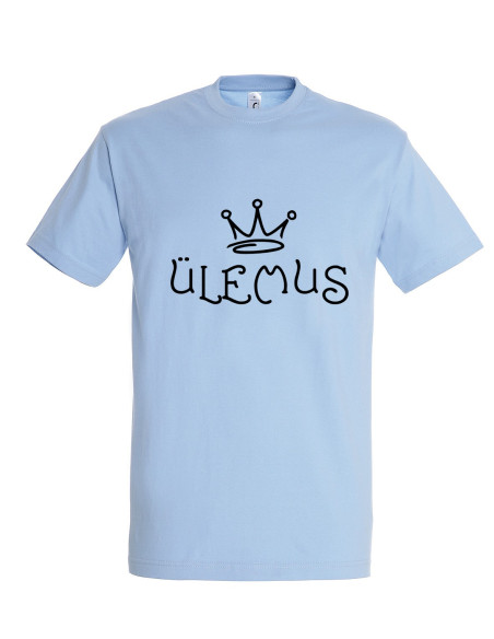 Meeste t-särk Ülemus