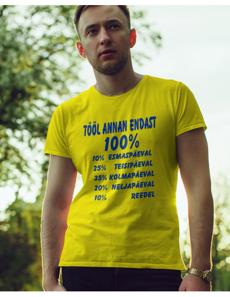 Meeste t-särk Tööl annan endast 100%...