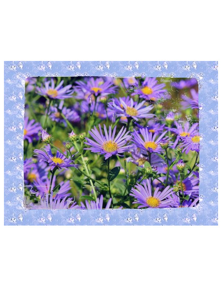 Plastikust pusle 48-osaline sinu pildiga ja tekstiga