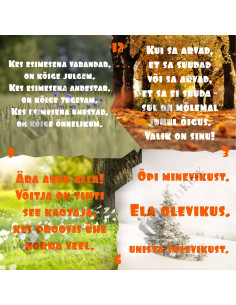 Seinakell Aastaring 2