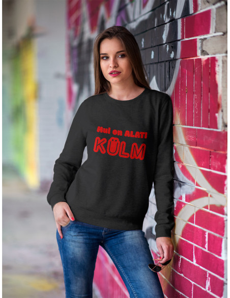 Klassikaline pusa Mul on külm