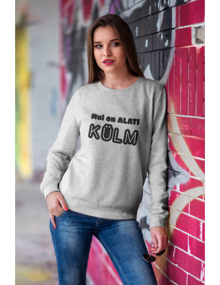 Klassikaline pusa Mul on külm