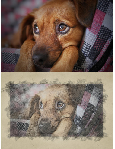 Fotokruus "Joonistus"