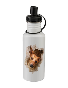 Valge joogipudel 600ml