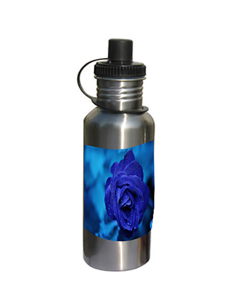 Hõbedane joogipudel 600ml