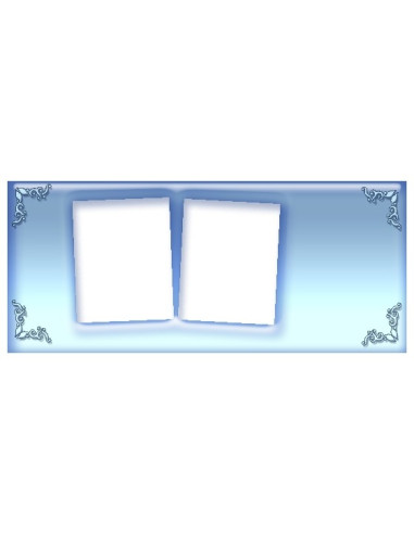 Taustaga fototass kahe pildiga